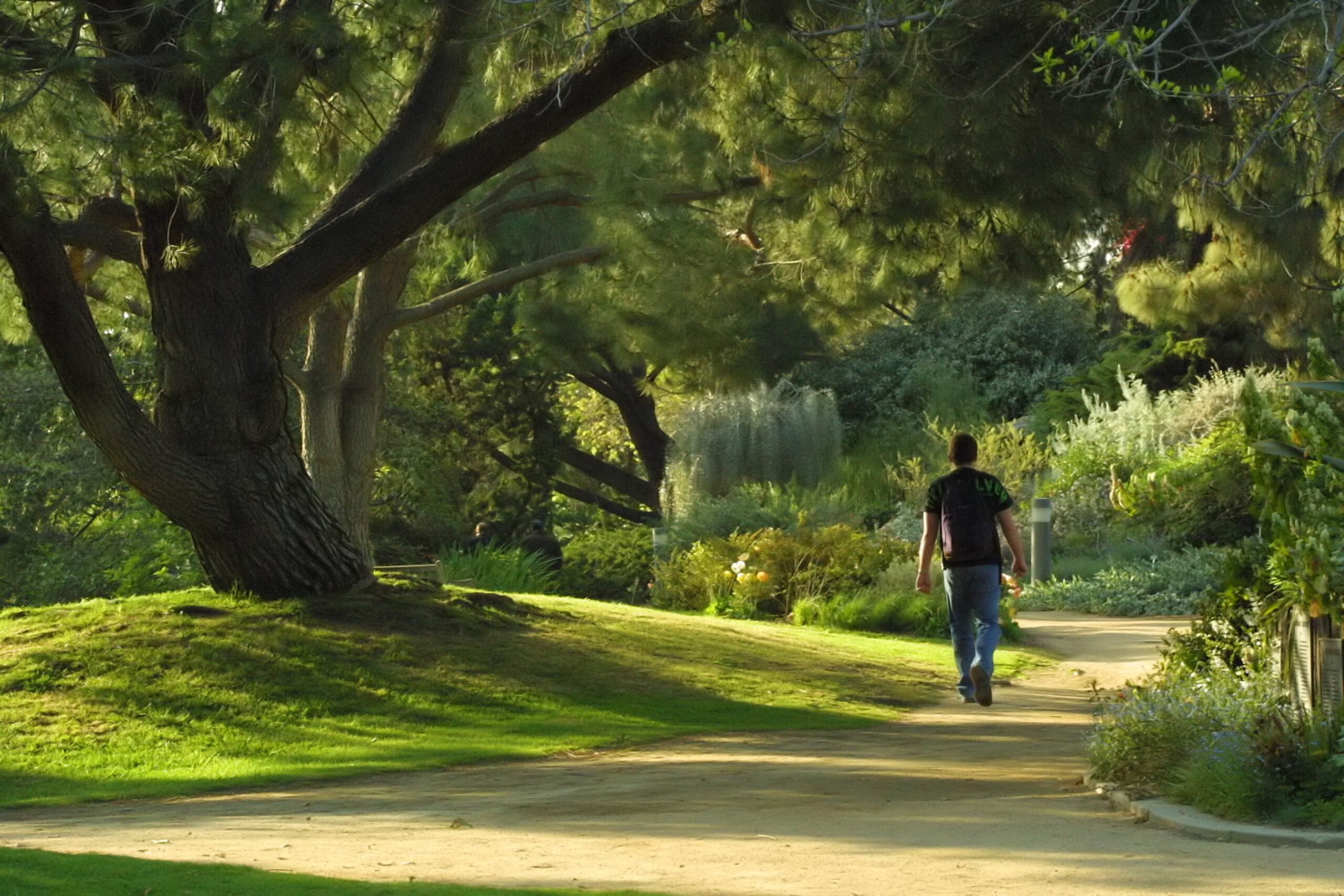 park