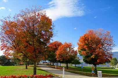 park3